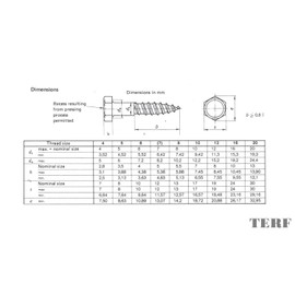 AHCHexagon Head COACHSCREWS (ZINC Plated) 12 X 75mm (Pack of 10)