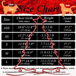 Cat Leash and Harness Set,Breathable Dog Harness,Pet Harness,Adjustable Mesh cat Harness and Leash Escape Proof for Puppy Cat Rabbit (Black, L)