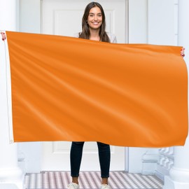 Plain Orange Flag - Plain Orange Flag - Double-Sided Print - 90 g Polyester - Double Stitching - 2 Brass Eyelets, Large 90 x 150 cm (5 x 3 Feet)
