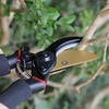Kramer&Co. Gardening 8" Professional Secateurs- Bypass Pruning Shears, Hedge &
