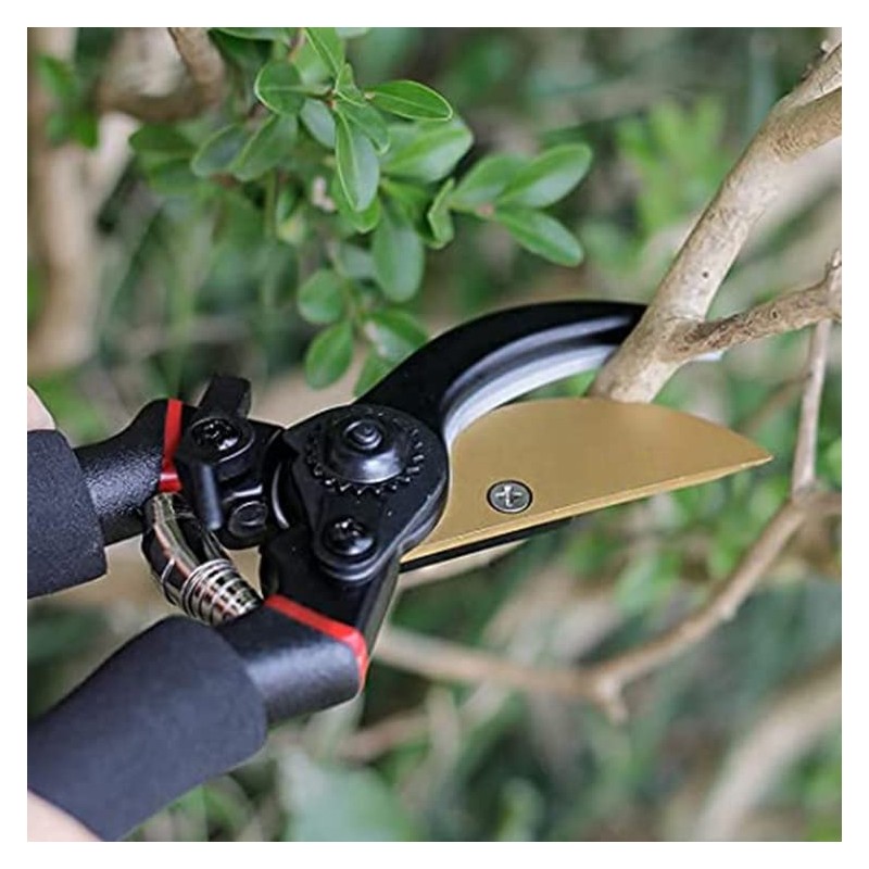 Kramer&Co. Gardening 8" Professional Secateurs- Bypass Pruning Shears, Hedge &