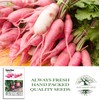 China Rose Pink Radish Seeds (Raphanus sativus) – 125+ Non-GMO