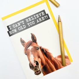 Funny Horse Birthday Card for Him or Her - 'Can't Believe You're How Old' Humorous Birthday Card for Men Women - Funny Horse Birthday Card for Sister Brother Mum Dad - Hilarious Horse Card
