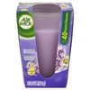 Air Wick Candles Frosted, Rich Lavender and Warm Velvet, 5.29-Ounce