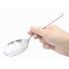 Takagi Lilac Dinnerware Series Ice Cream Spoon