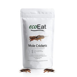 ecoEat Edible Insects Mole Crickets (Gryllotalpidae) - 15g Bag - Edible Snack Gift