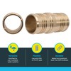 SharkBite 2 Inch Crimp Coupling, Brass Plumbing Fitting, PEX Pipe,