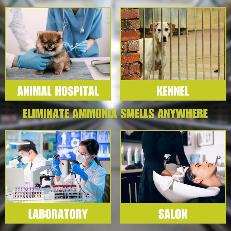 AMMOSORB Natural Ammonia Spill & Odor Absorbent Deodorizer Granules: 2