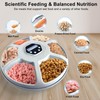 Automatic Cat Feeder Wet&Dry Food, 6 Meal Timed Pet Dispenser