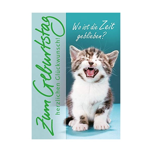 Basic Classic Birthday Card - Cat - 11.6 x 16.6 cm