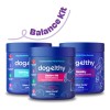 Dogelthy Balance Kit Sabor Cerdo Con Mobility Y Gastro Aid