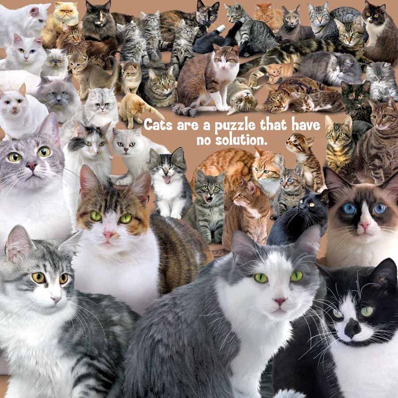 Buffalo Games World's Most Diff: Cats