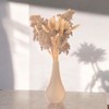 Blumenvase unzerbrechlich 20 cm, modern, Vase beige, Home Deko, Boho,