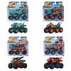 Hot Wheels Hot Wheels Monster Trucks Big Rigs, 1:64 Scale