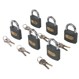 Dapetz ® Pack of 6 Keyed Alike 50mm Iron Body Padlock with Brass Cylinder Chrome-Plated, Hardened Steel Shackle 8.5mm Shackle 12 X Steel Keys
