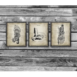Gnosis Picture Archive Vintage Foot Anatomy Art Prints, 8.5x11 inches, Set of 3 Unframed Pedicure/Podiatry Wall Decor