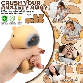 CelestiMingle Pack of 3 Capybara Anti-Stress Toy, Capybara Squeeze Toy, Puffer Fish Stress Ball, Funny Squishy Anti-Stress Ball Toy for Adults and Children (A)