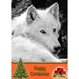 Wolf Wild Animal Christmas Card 'Happy Christmas' - Special Xmas Card for Him Her Kids Male Female