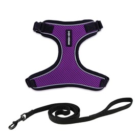 Voyager Escape Proof Cat Harness and Leash set with Reflective Stitching, Neoprene Handle 5ft - Supports Small, Medium and Large Cats, Kittens for walking by Best Pet Supplies - Black Trim-Purple, XXS