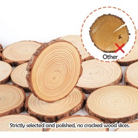 Unfinished Natural Wood Slices Wooden Circles with Tree Bark Log Discs for DIY Craft Rustic Wedding Ornaments (10PCS 3.5-4IN)