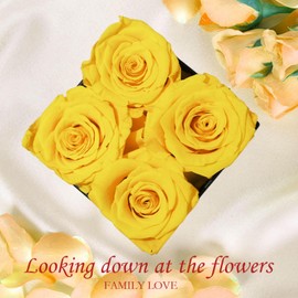 Nietiy Yellow Roses Flowers in a Box,Forever Flowers,Real Preserved Flowers,Preserved Roses,Forever Flower for Women/Men/Mom,Flowers for Mothers Day