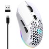 Wireless Mouse 2.4G Or BT5.1 Adjustable DPI Hollowed Out RGB