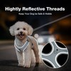 Feycig Dog Harness for Small Dogs, Anti-Pull Adjustable, Reflective Harness,