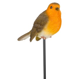 Vivid Arts - Robin Plant Pal - PLP-099