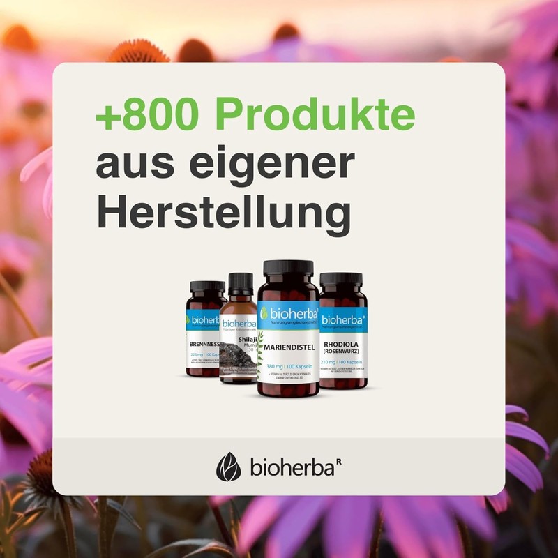 Verdauungsenzyme-Kombination mit Chrom – 300 Kapseln von BIOHERBA PZN 18217332