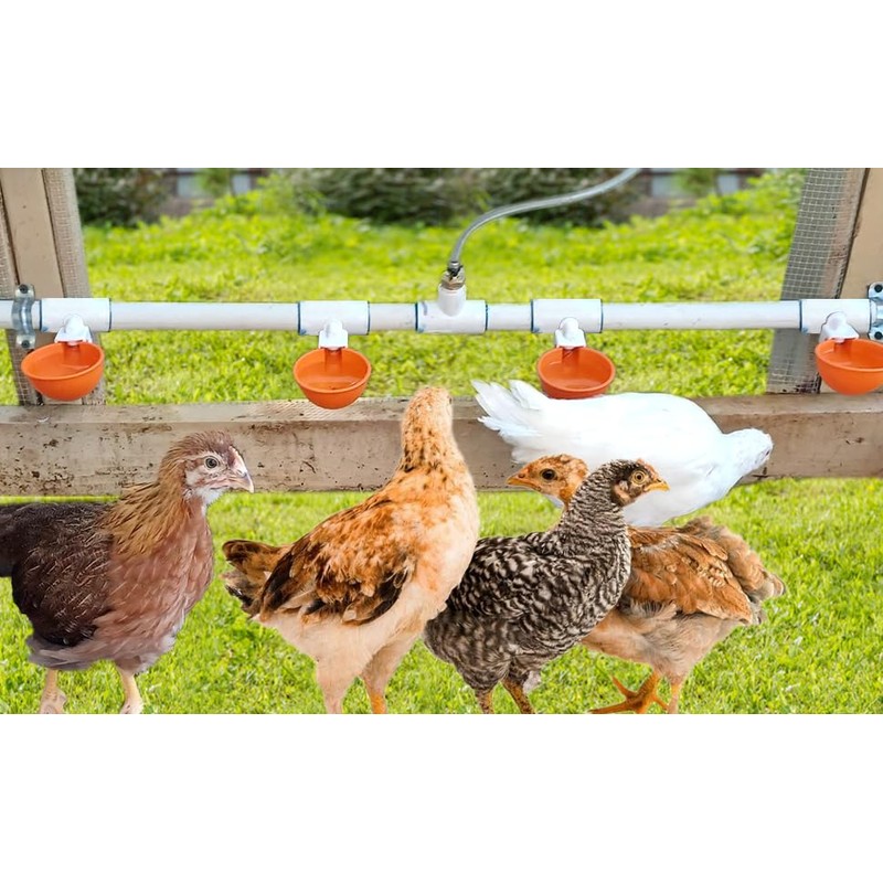 Large Automatic Chicken Waterer Cups DIY Poultry Chicken Waterer Kit