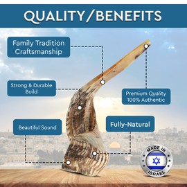 Shofar from Israel | KOSHER by Rabbinate of Jerusalem | Handcrafted | Holy Voice musical instruments | RAM Shofar | 13-15 inch | Made In Israel By YOMTOV-SHALOM
