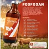Fosfogan 250ml Estimulante Hepatico Reconstituyente Animal