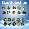 Hands-Free Bird Harnesses Suitable for Cycling and Driving Outdoors and