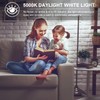 RIUVAO 1000W Equivalent LED Corn Light Bulbs, 2 Pack 100W