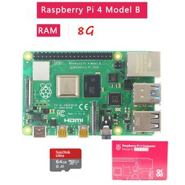 DIGISHUO Raspberry Pi 4B Model B 8GB RAM DIY Kit | with Case | Pi Cooling Fan | San Disk 64G SD Card Micro-SD | Micro HDMI Cable | Sufficient 5V 3A Power Supply (8G Module 8 in 1 Kit)