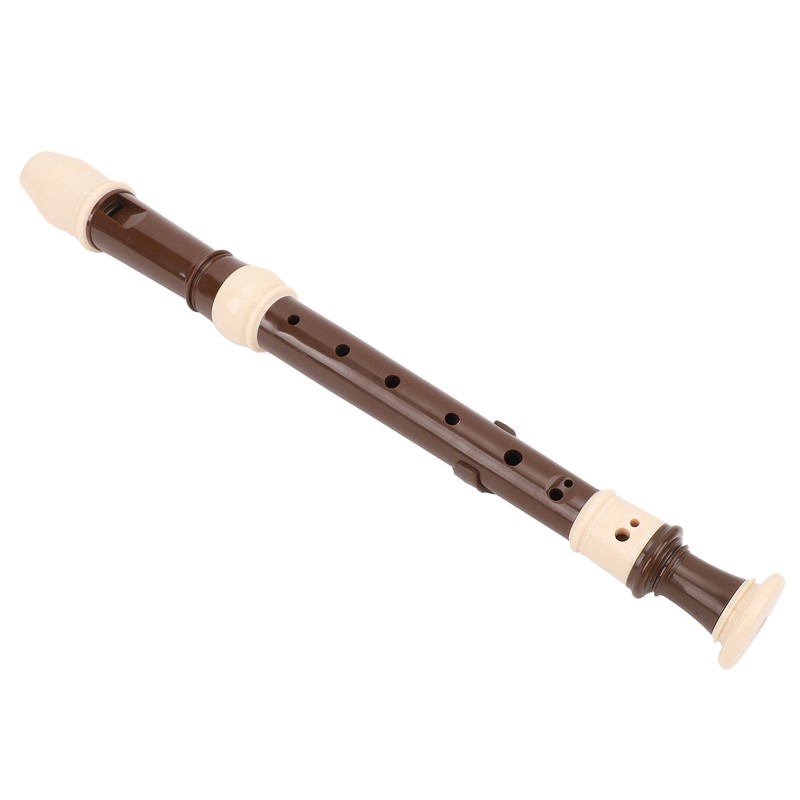 8 Hole Recorder Detachable Soprano Recorder Musical Instrument with Cleaning
