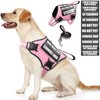 MOOGROU Service Dog Vest Harness and Leash Set+10 Patches,No Pull&Easy