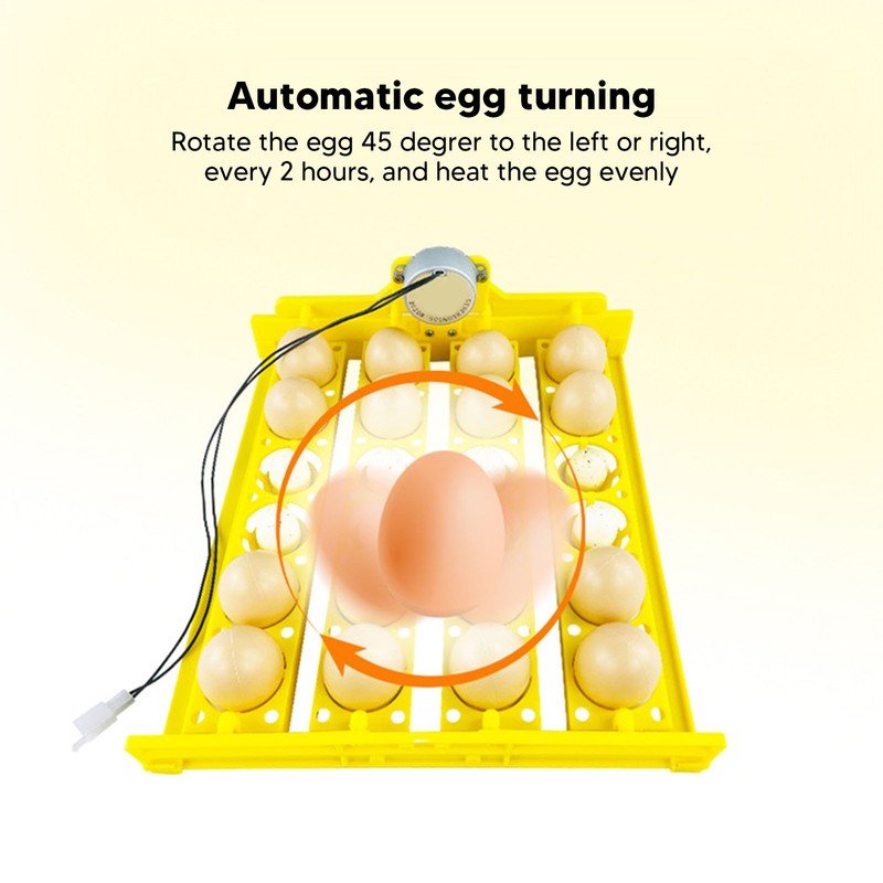 Egg Turning Tray Professional 24 Eggs Capacity Efficient Quiet Egg