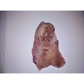Silicone movie prop severed ear gore horror spfx spx film quality ripped off ear