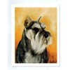 Ruth Maystead Miniature Schnauzer Head Study 12 Note Cards w/Envelopes