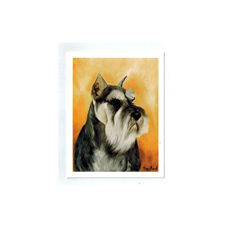 Ruth Maystead Miniature Schnauzer Head Study 12 Note Cards w/Envelopes