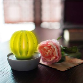 CANDLE CHOICE Battery Operated Flameless LED Candles with Timer Handmade Real Wax Succulent Cactus Flickering Electric Night Lights Fake Cacti Plants Home Decorations Table Centerpieces 2 Pack Yellow