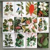 FLOWERS AND LEAVES ~ 12 Thank You Cards with envelopes