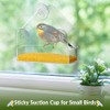 1Above Acrylic Clear House Shape Design Window Bird Feeder Clear
