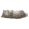 Hi-Line Gift Sleeping Cat Gray/Orange-Ga - Gray