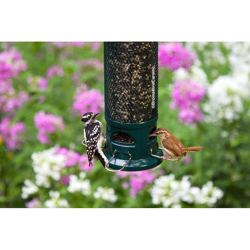 Brome Squirrel Buster Legacy Squirrel-proof Bird Feeder w/4 Metal Perches,