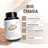 Pilze Wohlrab - Organic Chaga Mushroom Capsules - Chaga Extract