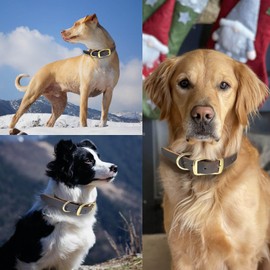 Leather Dog Collar Heavy Duty Hardware Dog Collars Full Grain Ultra Soft and Comfort Genuine Cowhide Metal Buckle Thick Belt Collar for Small Medium Large Pets (Small (11-17" Neck))