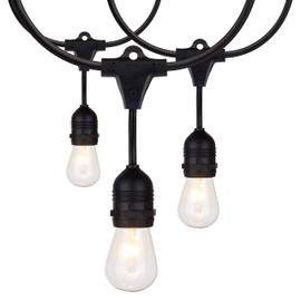 Satco S8035 Incandescent Indoor/Outdoor String Lights, Black, Bulbs Included, 24 Feet (Pack of 1)
