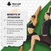 Potassium Supplements 1000mg, 240 Vegan Potassium Tablets Mineral Electrolytes Supplement